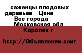 саженцы плодовых деревьев › Цена ­ 6 080 - Все города  »    . Московская обл.,Королев г.